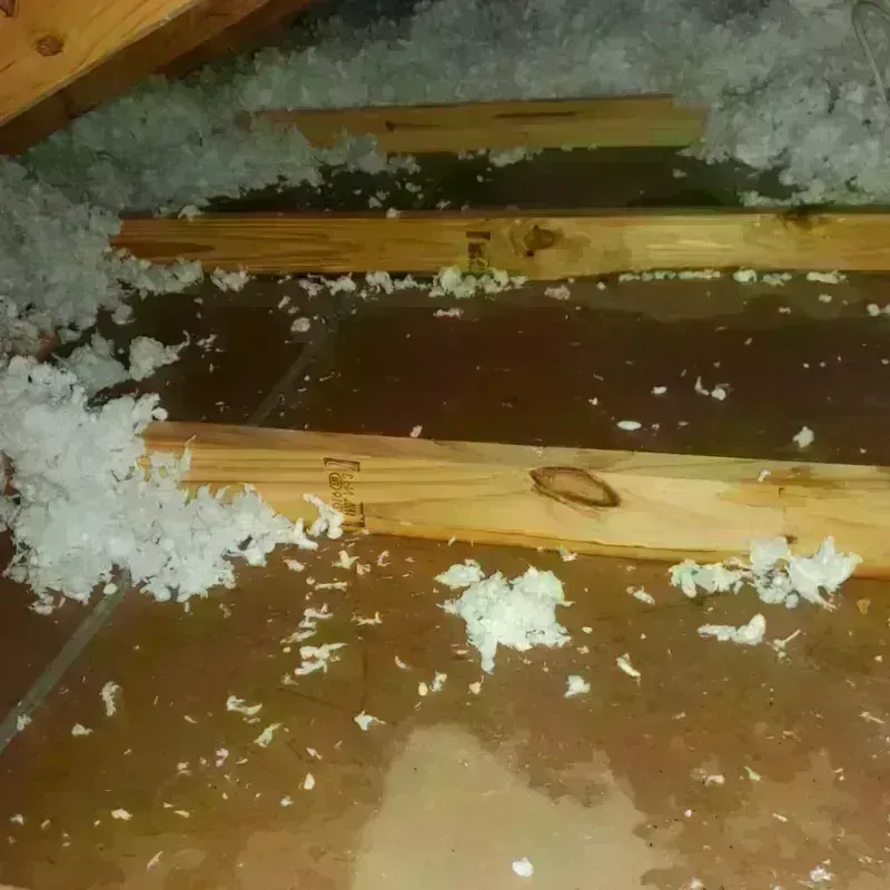 Attic Water Damage in Owen County, KY